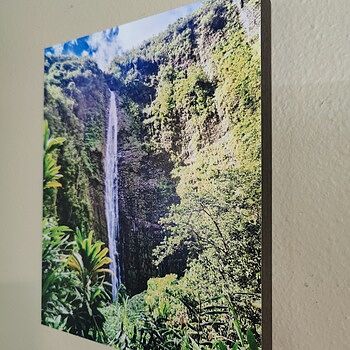 Photo of review by Todd on Jul 3, 2025 #1