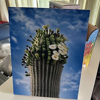 Photo of review by Kristie on Jul 3, 2025 #1