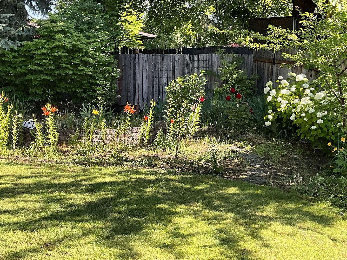Our tree is doing well.