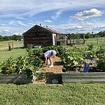 Image of Review by Thomas H. on  4 Jul 2025 number 1