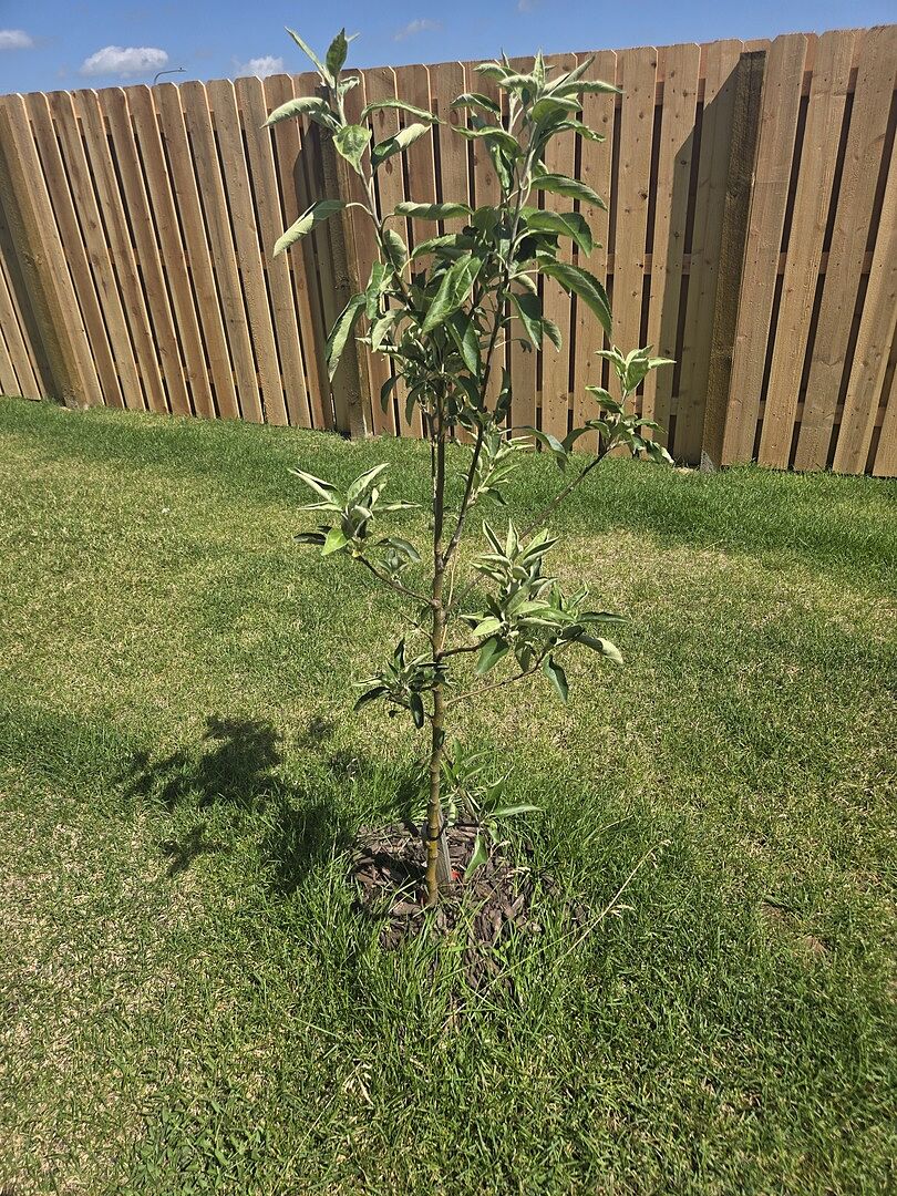 Very healthy in Omaha, NE