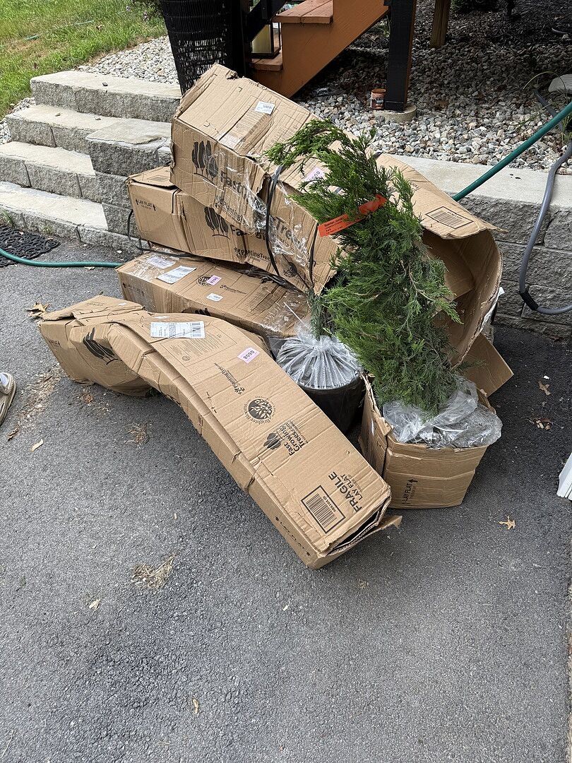 Great trees! Horrible delivery service!
