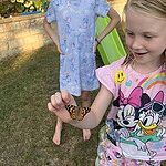 Image of Review by Mr L. on  5 Jul 2025 number 1
