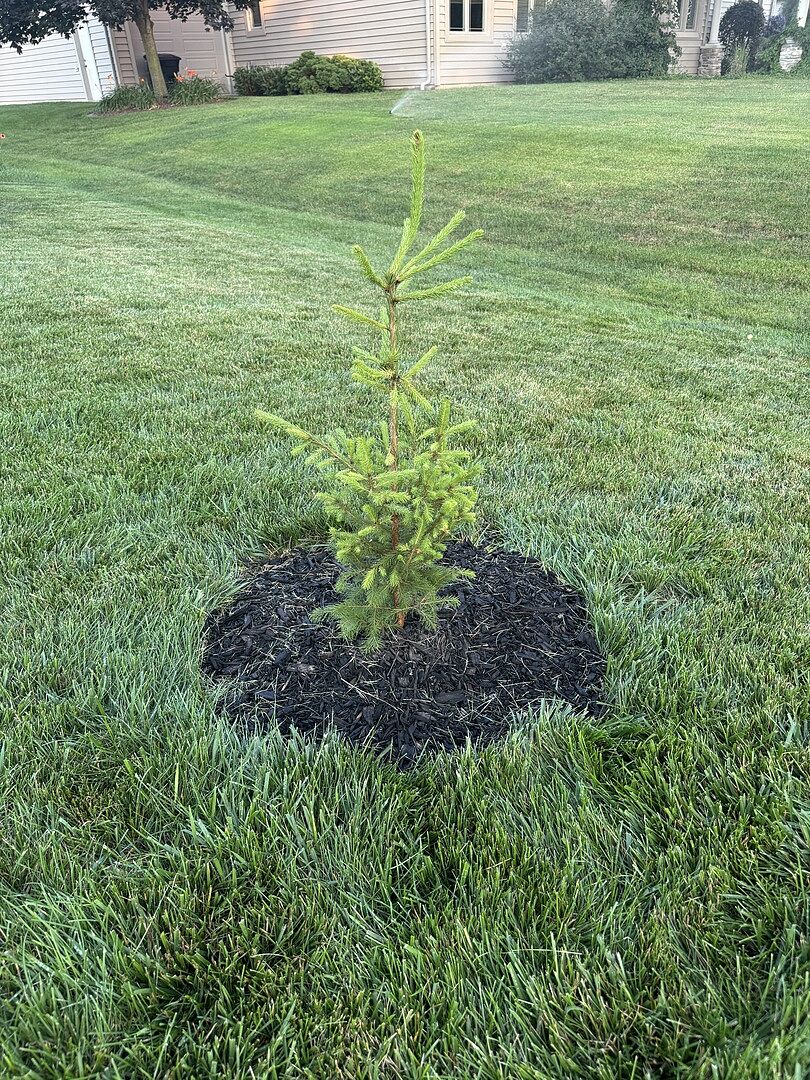 5 of 6 are thriving!
