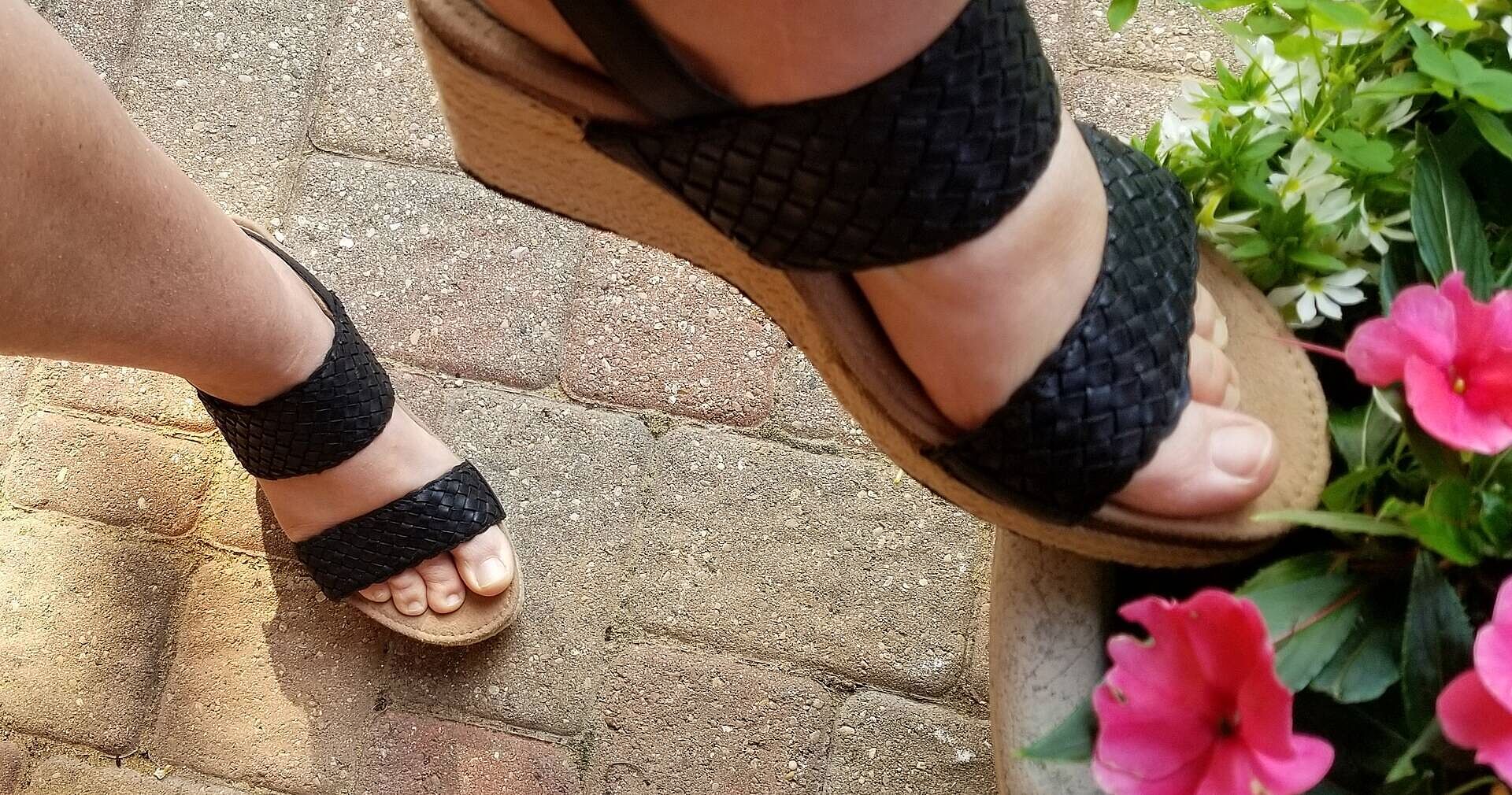Sydney Quarter Strap Espadrille Wedge - Black – aetrex