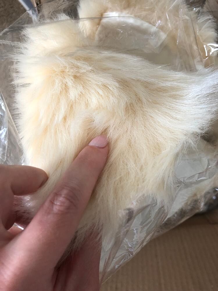 Review image from Shannon W.