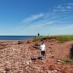 Image of Review by Christopher B. on  9 Jul 2025 number 1