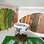 Image of Review by Julie R. on 14 Jul 2025 number 2