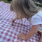 Image of Review by Julie R. on 14 Jul 2025 number 1