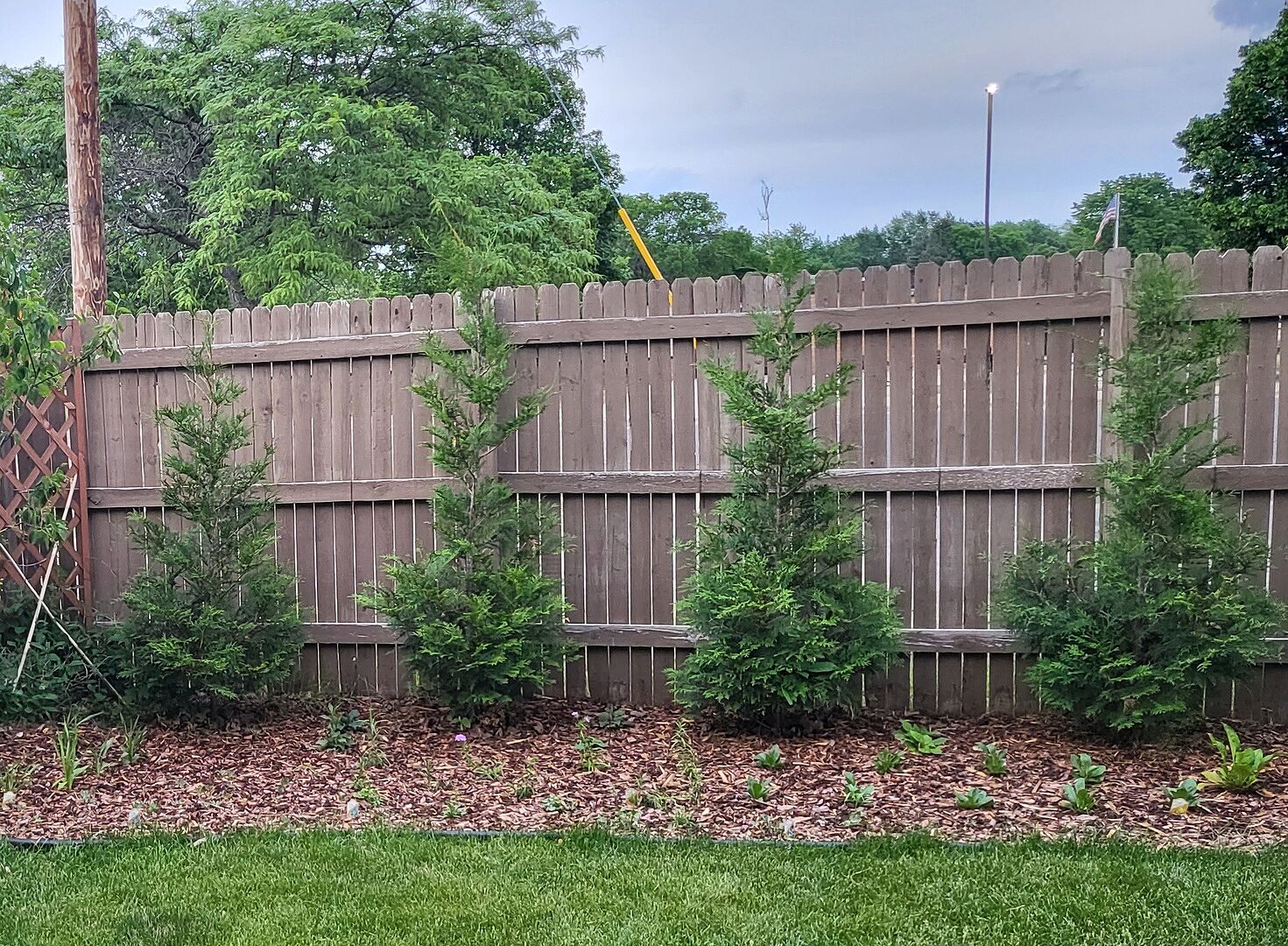 Beautiful natural form, excellent investment