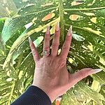 Image of Review by Marissa R. on 16 Jul 2025 number 3