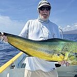 Image of Review by Don W. on 20 Jul 2025 number 1