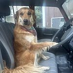 Image of Review by Emil on 22 Jul 2025 number 1