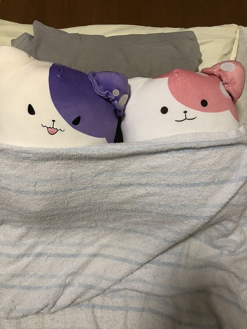 FuRyu きのこいぬ プラム 1/1 ぬいぐるみ 特典付き プラム1/1ぬいぐるみ（早期申込特典付き） | きのこいぬ