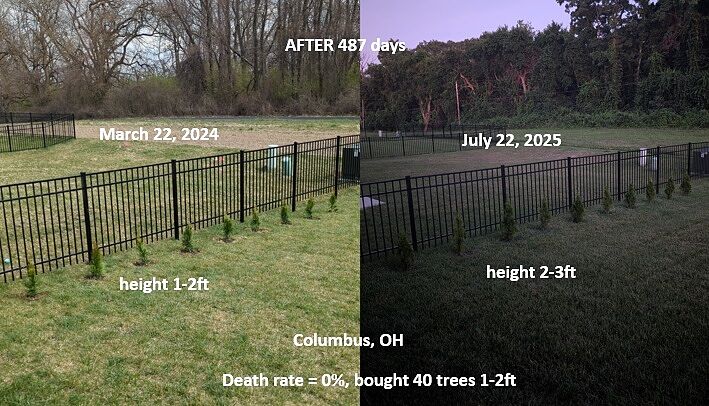 Great healthy trees
