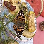 Image of Review by Jodie K. on 23 Jul 2025 number 2