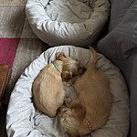 Image of Review by Kirsten D. on 24 Jul 2025 number 1