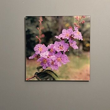 Photo of review by Jennifer on Jul 25, 2025 #1