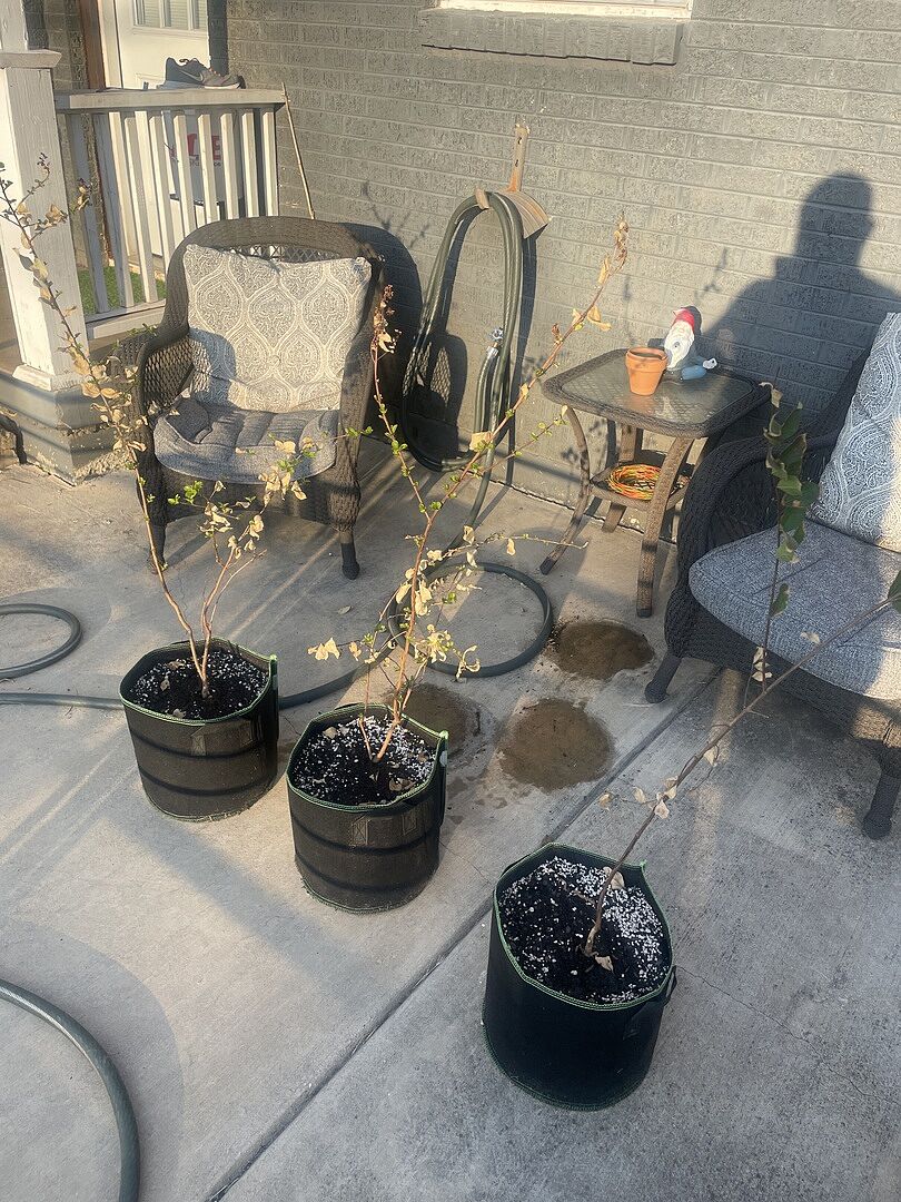 I wasn’t wowed, but they’re coming alive