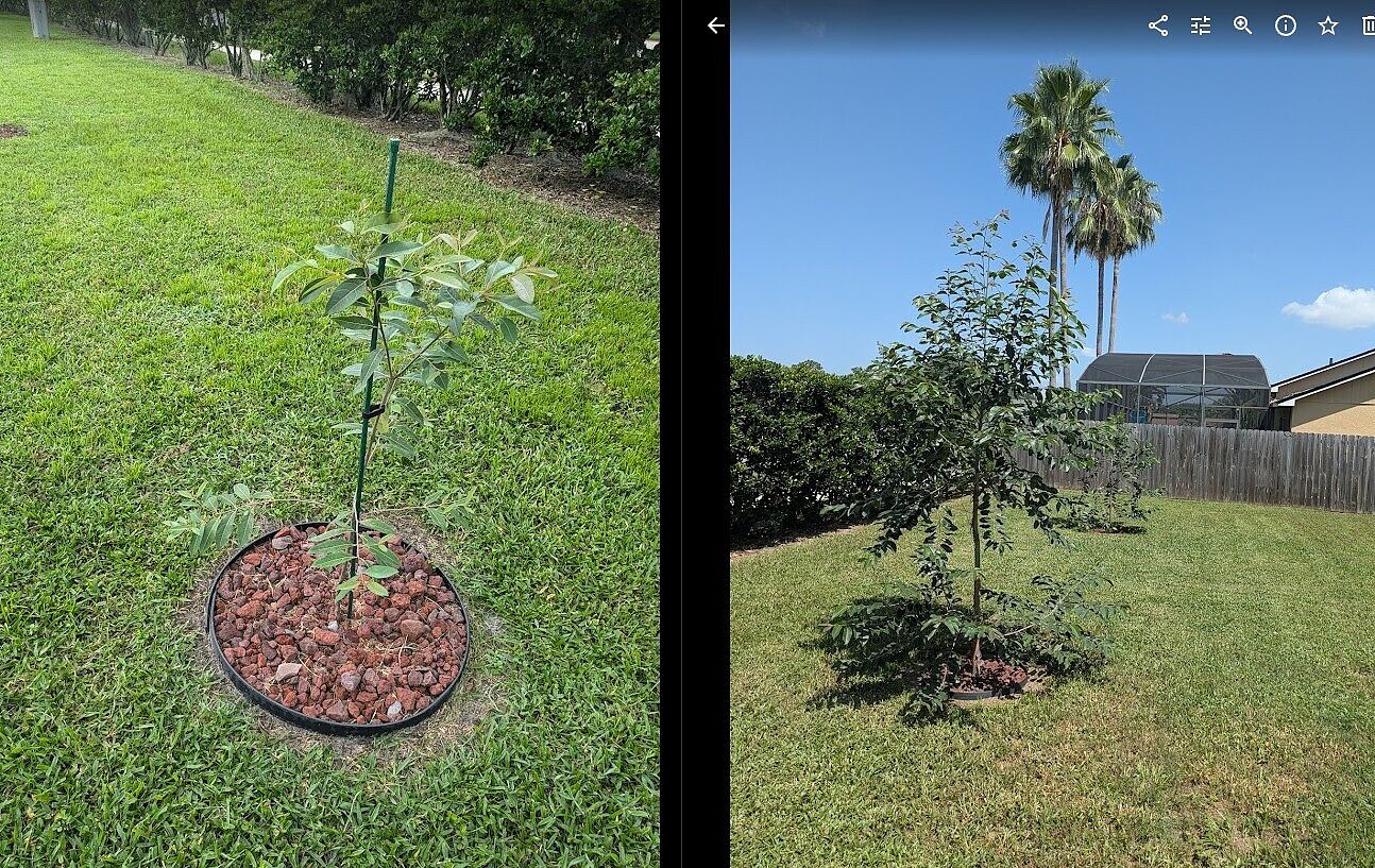 One year later. . .