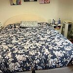 Image of Review by ALI S. on 29 Jul 2025 number 1