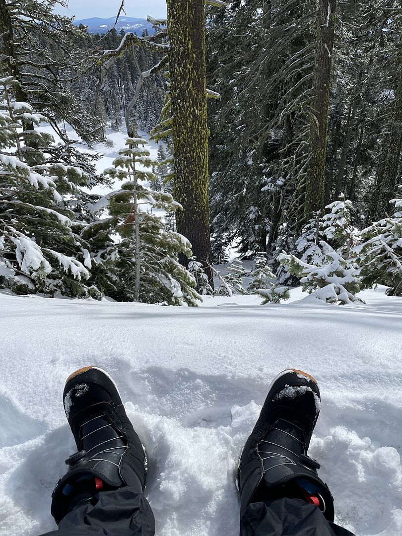 バートン　FLIX BOA バートン FLIX BOA Women's Felix BOA® Snowboard Boots