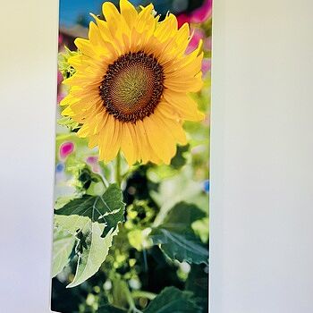 Photo of review by Hannah on Aug 3, 2025 #1