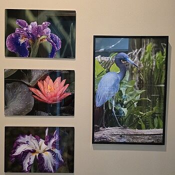 Photo of review by Debbie on Aug 4, 2025 #1