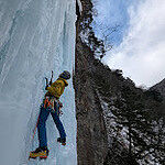 Image of Review by Hiroki on  5 Aug 2025 number 1