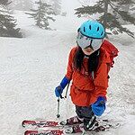 Image of Review by Hiroki on  5 Aug 2025 number 1