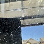 Image of Review by Marilyn R. on  6 Aug 2025 number 1