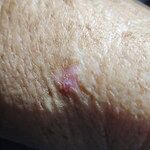 Image of Review by Jennie B. on  8 Aug 2025 number 1