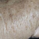 Image of Review by Jennie B. on  8 Aug 2025 number 2