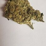 Customer Review Image