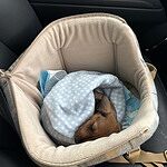 Image of Review by Nicola C. on 11 Aug 2025 number 3