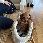 Image of Review by Nicola C. on 11 Aug 2025 number 2