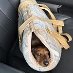 Image of Review by Nicola C. on 11 Aug 2025 number 4