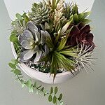 Image of Review by Aggie M. on 12 Aug 2025 number 1