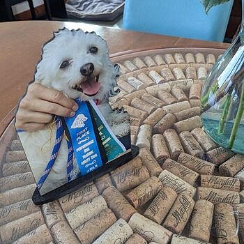 Photo of review by Ellen on Aug 12, 2025 #1