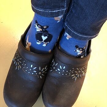 Corgi Butt Socks | Women's Love Sock Drawer. Best discovery ever