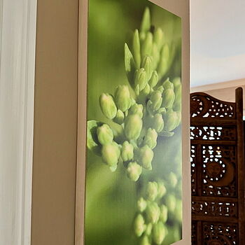 Photo of review by Sarah on Aug 14, 2025 #1