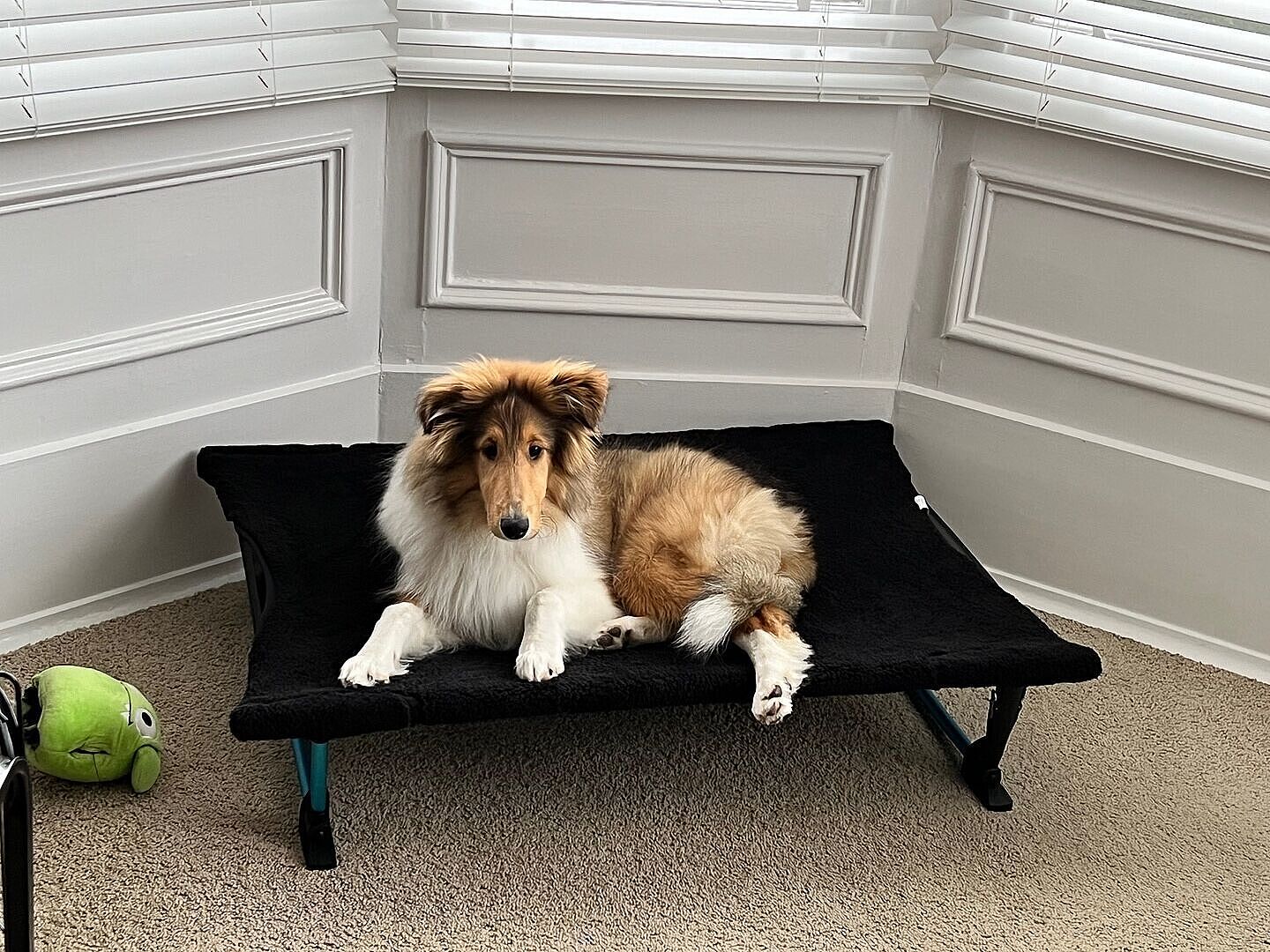 Helinox Reversible Dog Cot Warmer | Free Shipping & 5 Year Warranty