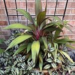 Image of Review by David B. on 18 Aug 2025 number 3