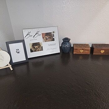 Photo of review by Meagan on Aug 19, 2025 #1