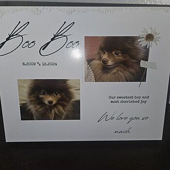 Photo of review by Meagan on Aug 19, 2025 #2