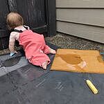 Image of Review by PNW e. on 17 Aug 2025 number 1