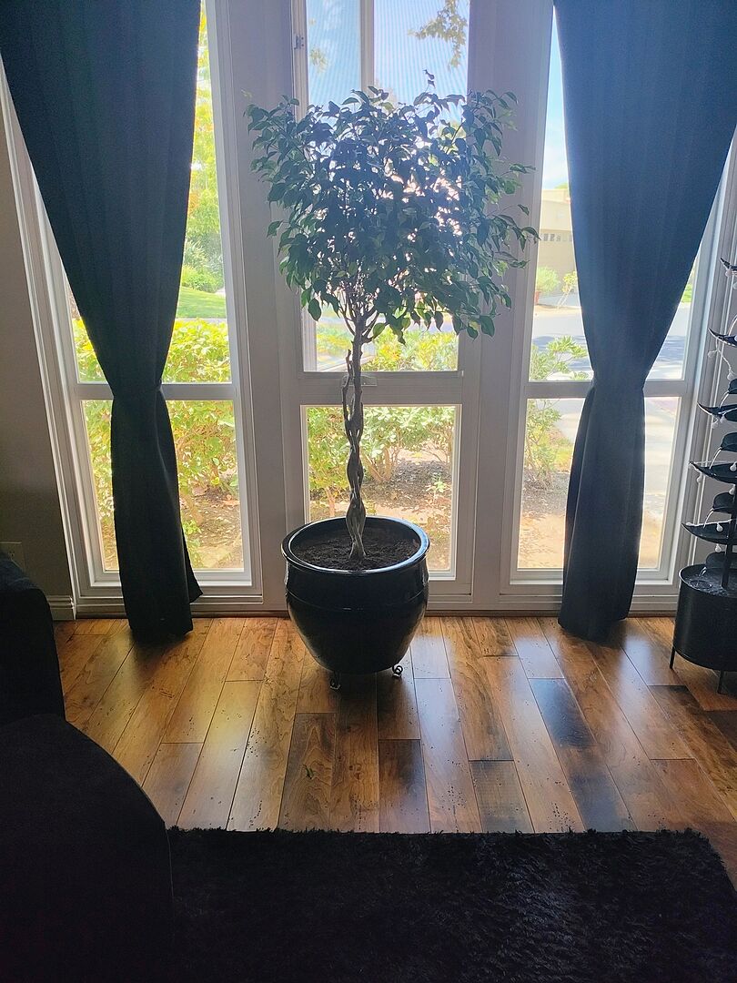 Awesome tree