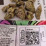 Customer Review Image