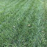 Image of Review by melanie m. on 26 Aug 2025 number 1