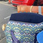 Image of Review by Linda E. on 28 Aug 2025 number 2